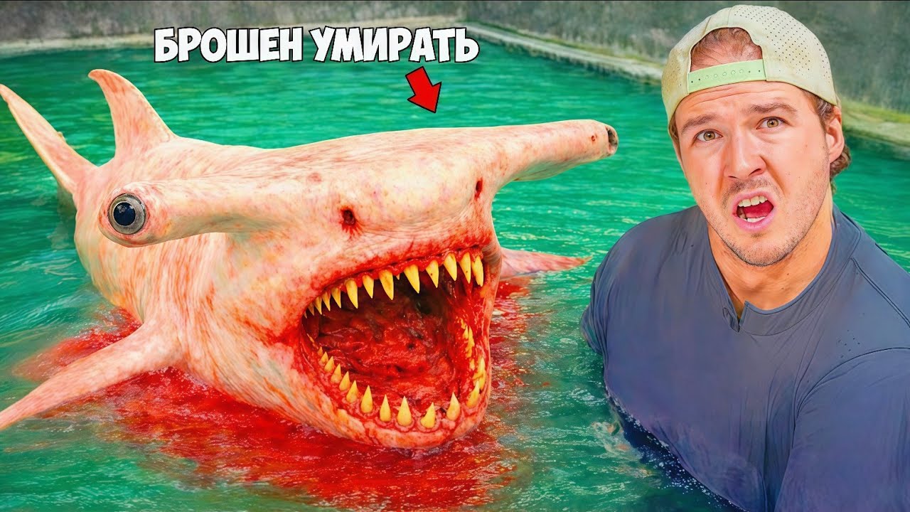 Я купил аквариум с брошенной акулой!