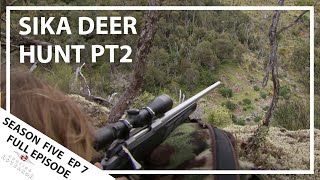 Hunting Aotearoa Series 5 EP07 - Sika Deer Hunting PT2 screenshot 5