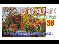 黒川温泉の紅葉を描く   Draw  autumn  leaves  of  Kurokawa  Hot  Spring