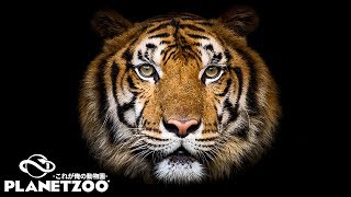 これが俺の動物園だ【Planet Zoo】#1