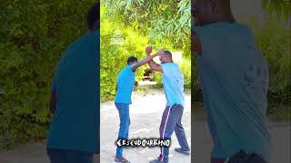Kung Fu Self Defense punching technique #training #skills #martialarts