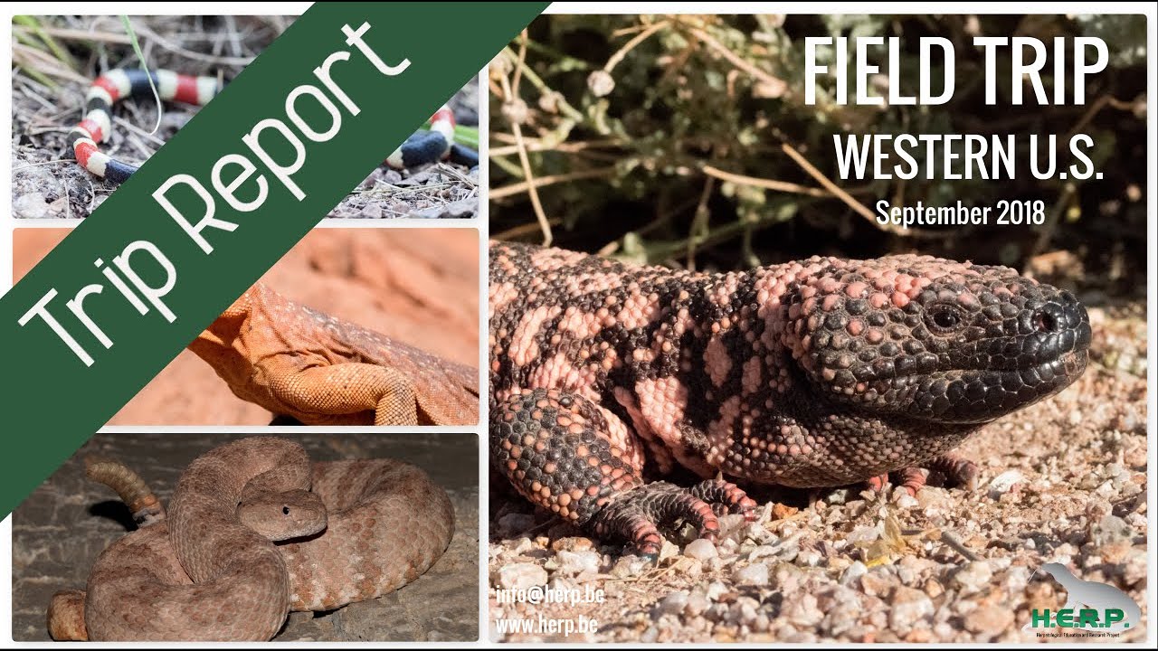 amphibians nedir Trip Report: Field Trip Western U.S. 2018