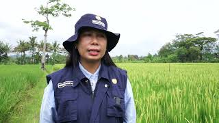 Data collection platform (DCP) - Agriculture extension officer view screenshot 4
