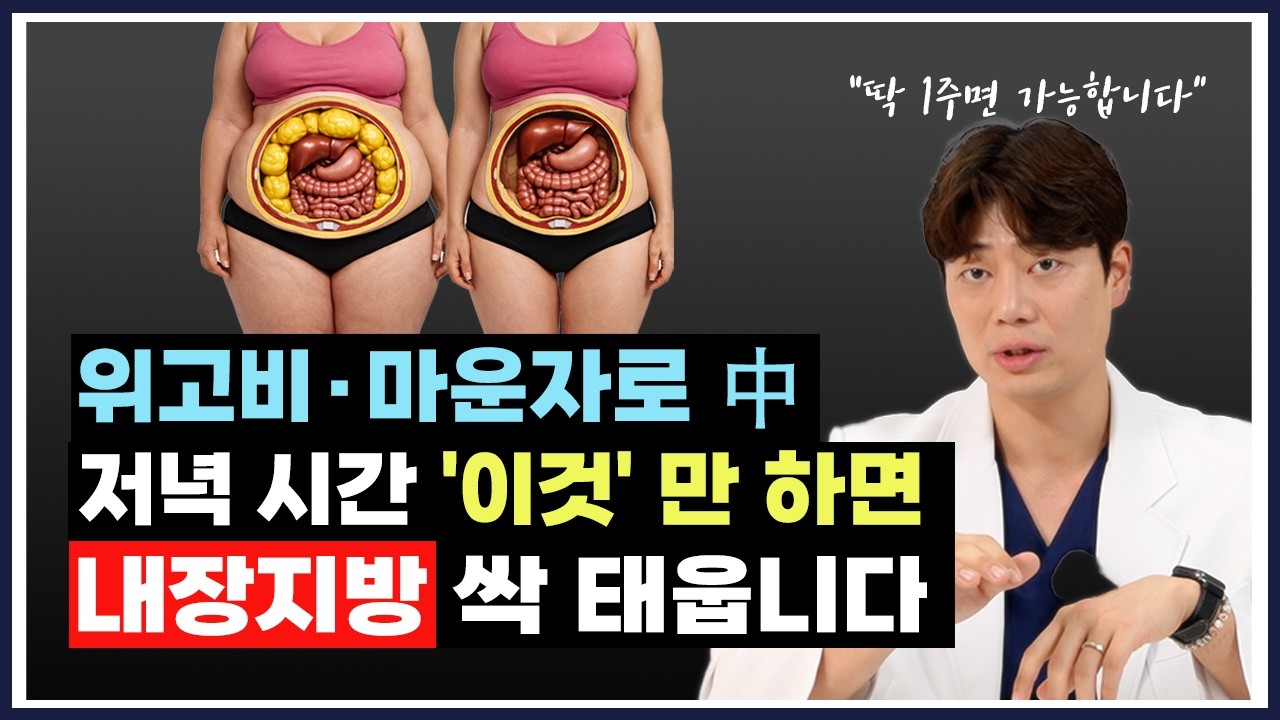 위고비·마운자로 中 내장지방 태우는 법