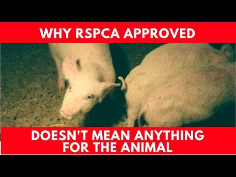 RSPCA doesn't mean anything for the animals