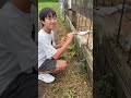 Feeding experience!! Part25 #shorts #トイキッズ
