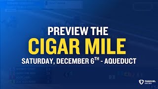 A Preview of the $500,000 Cigar Mile Handicap (G2) at Aqueduct