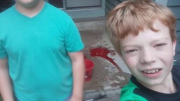 Xbox 360 controller Vs Nintendo GameCube controller