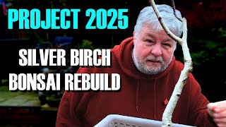 Project 2025: Rebuilding A Silver Birch Bonsai Tree