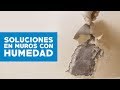 ¿Cómo solucionar problemas de humedad en muro?