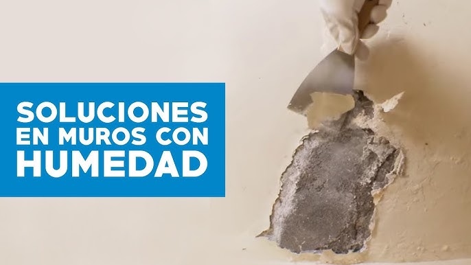 ▷Humedad en Paredes: Soluciones para Eliminarla✓