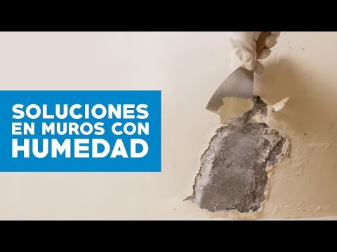 Video: Impermeabilización de sótanos hágalo usted mismo: características, métodos y revisiones