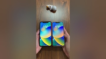 iphone 11 vs 13