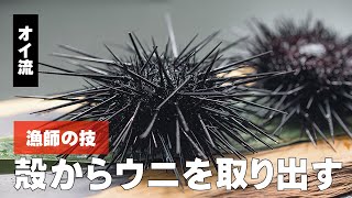 ウニさっさ mqdefault.jpg
