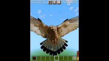 Mesmerizing Eagle Pixel Art Speed Build | 25 Second Showcase! #speedbuild #minecraftpixelart #art