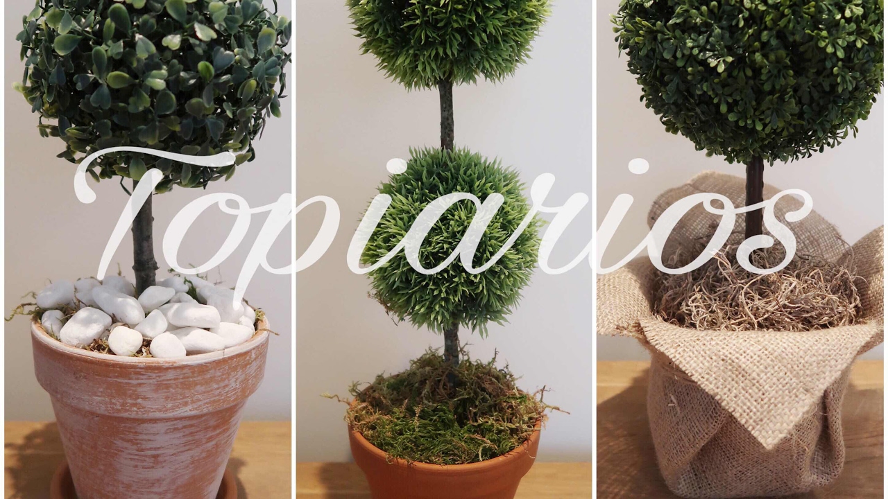 3 formas de fazer topiarios-diy