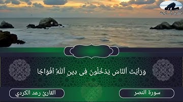 سورة النصر : بصوت رعد الكردي😌 حالات واتس اب قران❣اجمل حالات واتس اب دينية🍃 تلاوة خاشعة