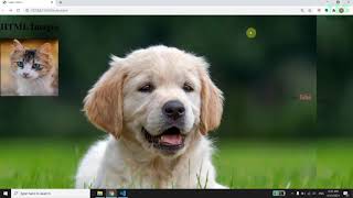 Images | HTML Malayalam Tutorial | Part 12 of 25 |