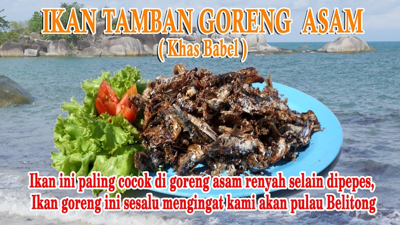 Banyak Yang Tidak Tahu Ikan Tamban Goreng Asem Super Lezat Youtube