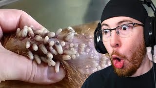 Try NOT to Feel Good Challenge! Satisfying 2019