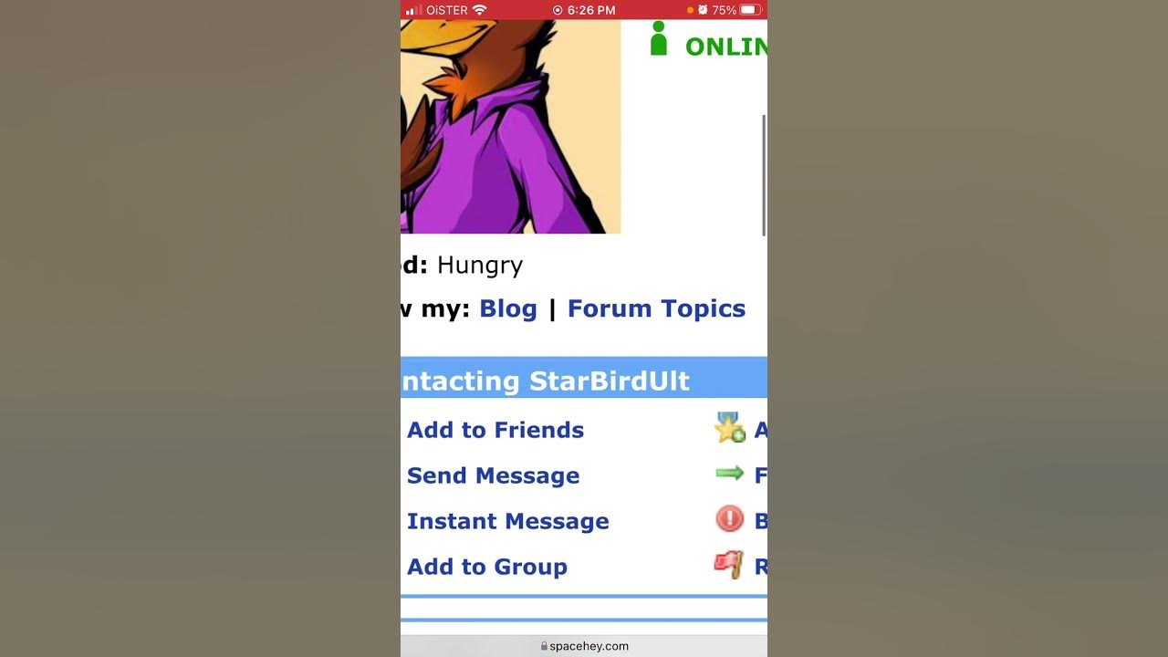 How to add friends in spacehey app youtube