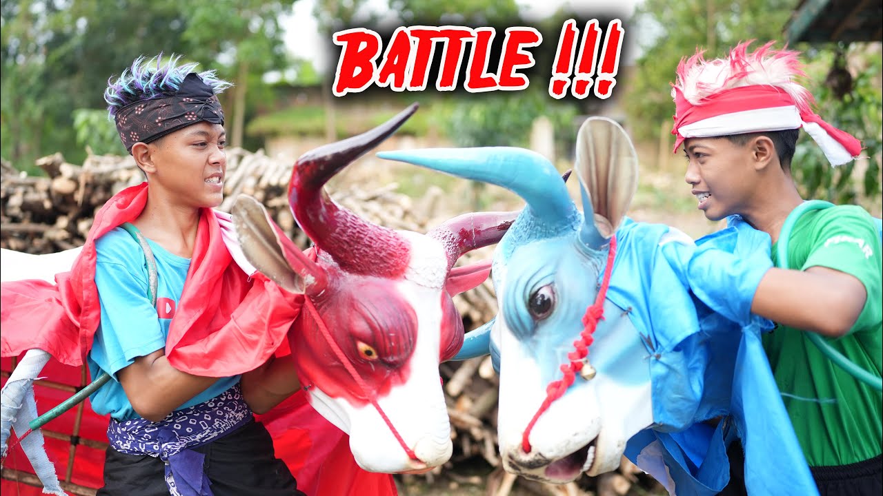 BATTLE BANTENG MERAH VS BANTENGAN SAPI BIRU SAMPAI MBEROT Dj jangan tunggu lama-lama