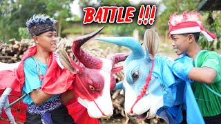 BATTLE BANTENG MERAH VS BANTENGAN SAPI BIRU SAMPAI MBEROT Dj jangan tunggu lama-lama