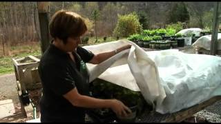 Cold weather returns.  Are your plants protected?