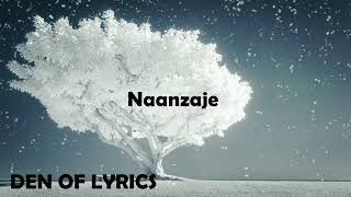 Naanzaje by Diamond Platinumz ( official lyrics video )