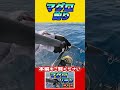 #福山龍太郎 #福岡ソフトバンクホークス#マグロキャスティング#ホークス#ドラフト