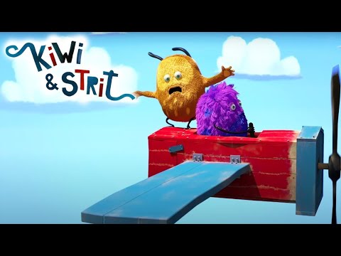 There is no Flying Without Wings 🚀 KIWI & STRIT Official