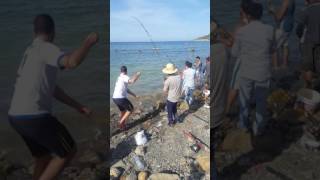 La pêche de la dorade à azeffoun