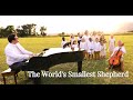 THE WORLD&#39;S SMALLEST SHEPHERD - new CHRISTMAS song by Angie Killian &amp; Shane Mickelsen #lighttheworld