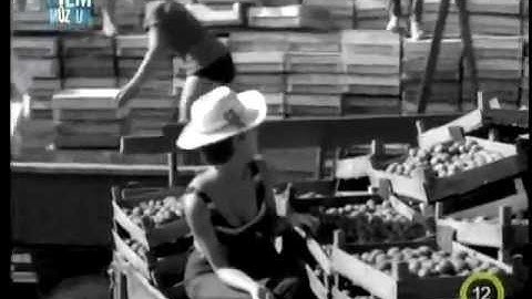 Szevasz Vera (1967) - Kiskorpád barackszüret