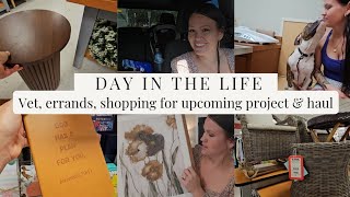 SUMMER VLOG! Decor Shopping, vet appointment, upcoming project, Day in the life !