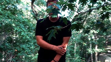 Elijah Kyle- Lost in the Mountains (Official Music Video)