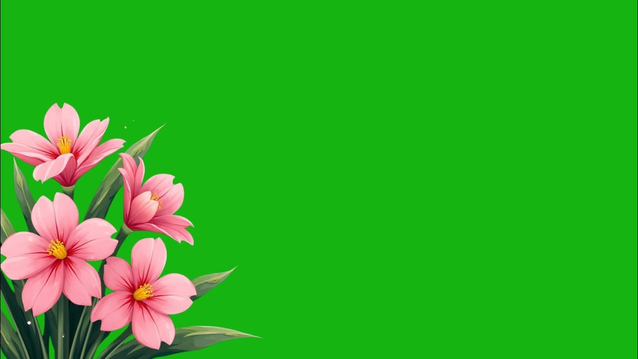 pink flower plant green screen video | flower background video green screen