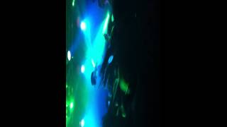 1995 - La source LIVE GENEVE