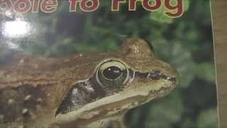 Tadpole to Frog   Dr. J.P.