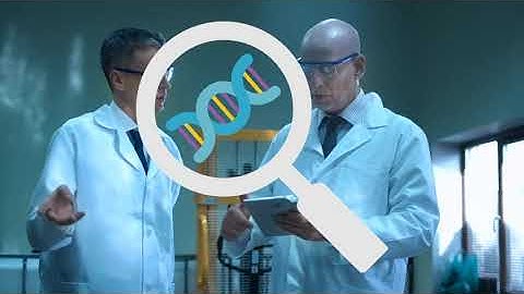 Beta-Balance Lethbridge High School iGEM - TFC 2025