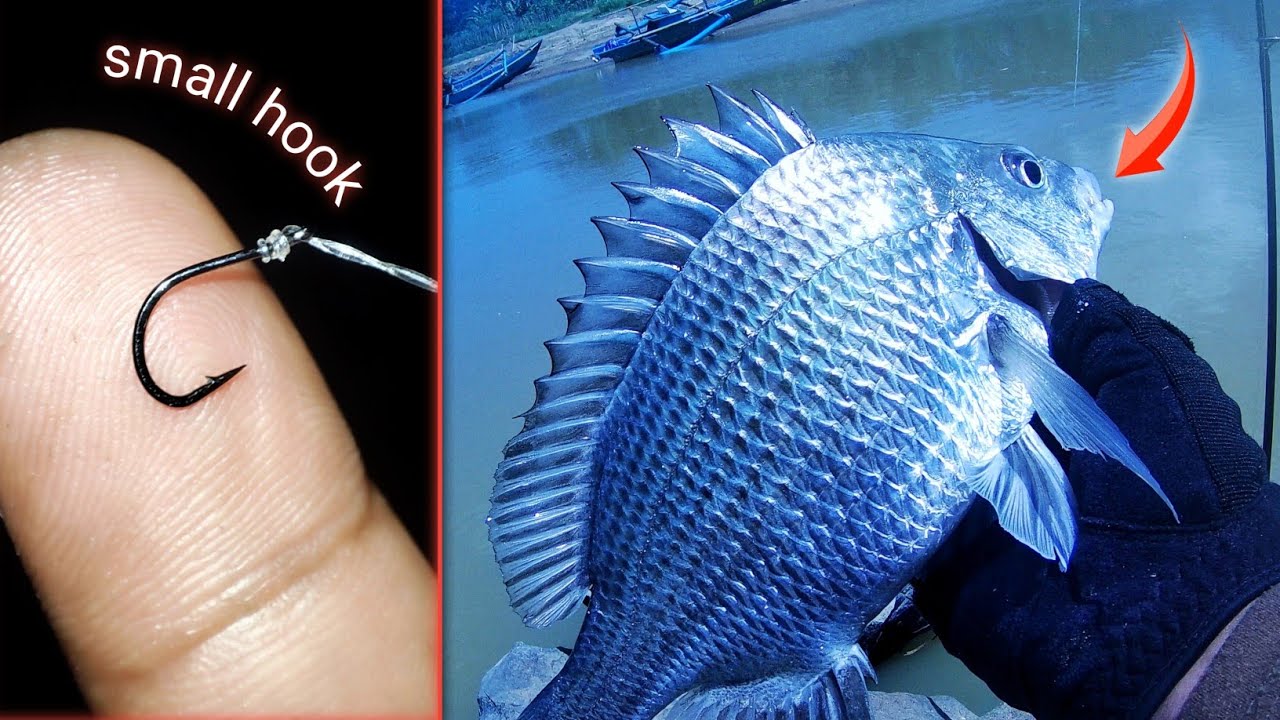 R E A L How To Install Tackle Yourself Fishing For Big Fish river-fishing-mission-for-big-fish-i-can-t-believe-it-happened-again