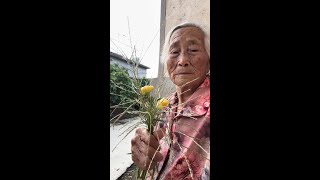 Old Man Sat At Door Today. No One Came Out To Chat. Picked Flowers, Look How Nice They Are