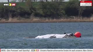 LIVE: Buckelwal 'Hope' vor der Insel Poel - Tag 31