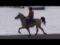rowdys rebel gold 2 year old daughter in training jan 2017