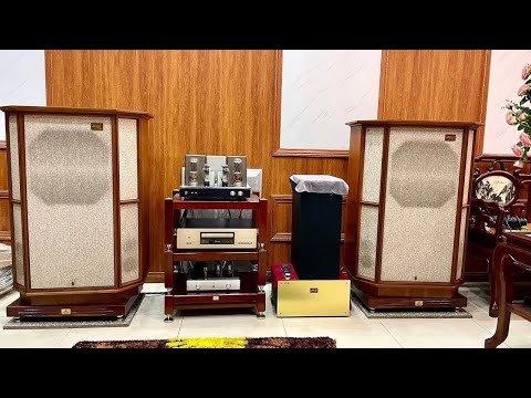 Thiệp hồng báo tin tr vũ