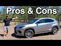 Reasons FOR and AGAINST: 2019 Lexus NX 300 Review on Everyman Driver