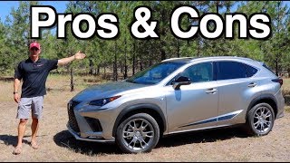 Reasons FOR and AGAINST: 2019 Lexus NX 300 Review on Everyman Driver