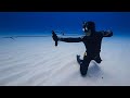 Underwater archery spearfishing in the bahamas airplane found