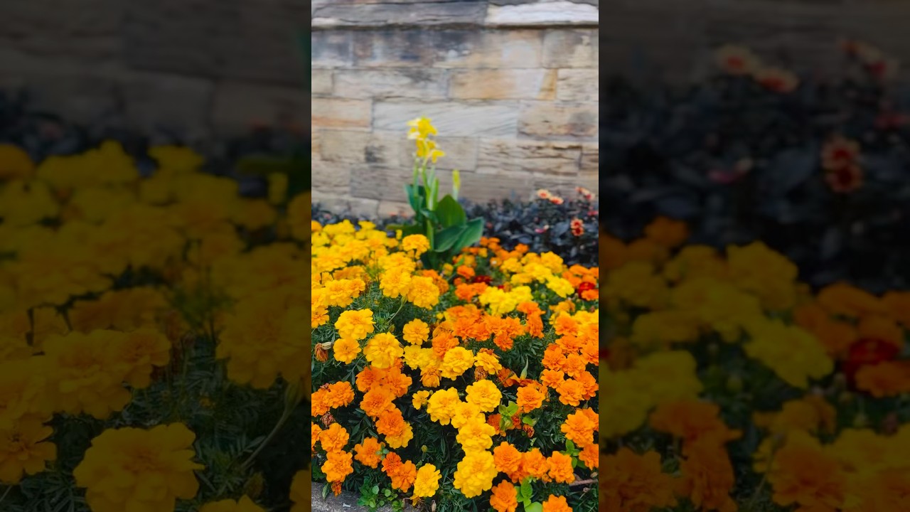 Making Memories 🇬🇧