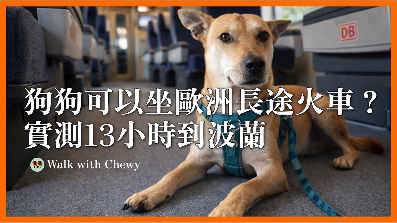 狗可以坐歐洲長途火車嗎？我們實測 13 小時到波蘭｜第一次搭德國鐵路＋波蘭鐵路｜中大型狗友善旅行｜跟著初一去旅行 | Chewy dog in Europe
